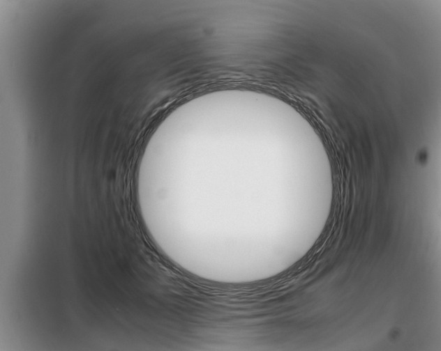 X0000099410511200805090730