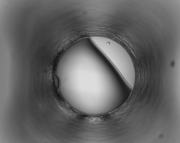X0000099410512200805090730