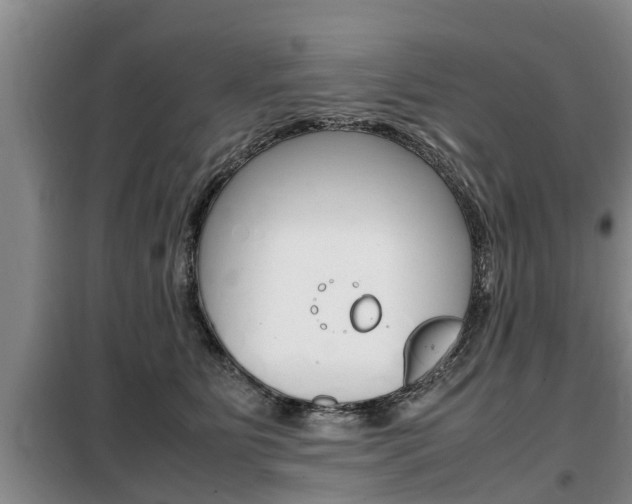 X0000099410515200805090730