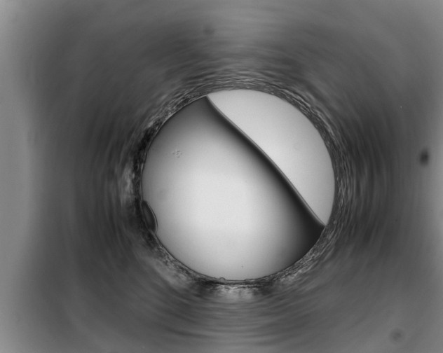 X0000099410520200805090730
