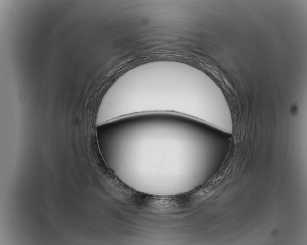 X0000099410521200805090730