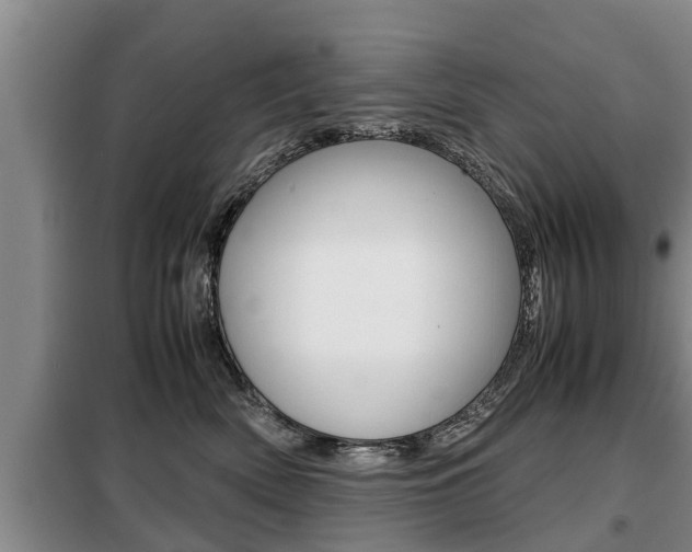 X0000099410522200805090730