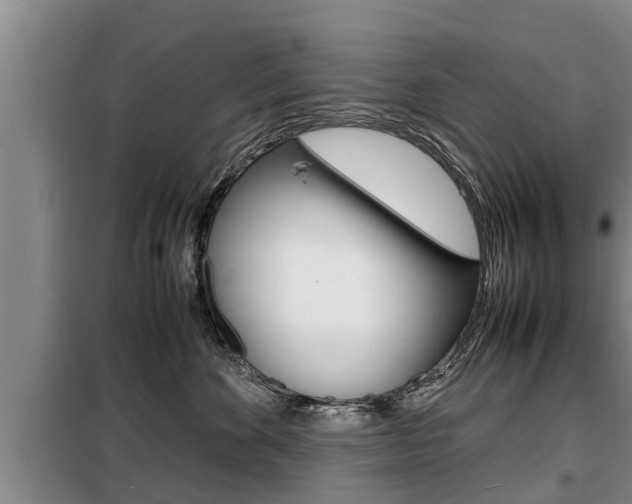 X0000099410524200805090730