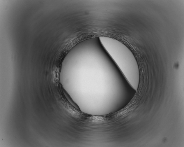 X0000099410528200805090730