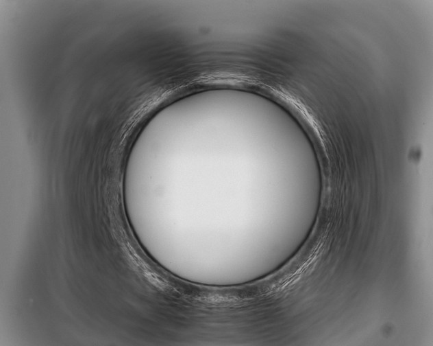 X0000099410529200805090729