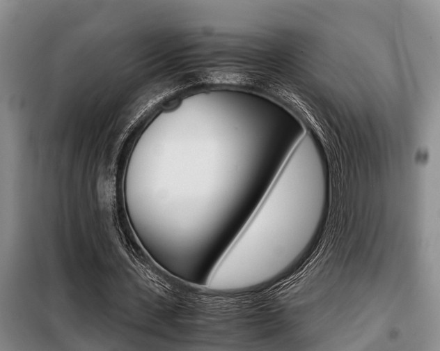 X0000099410531200805090729
