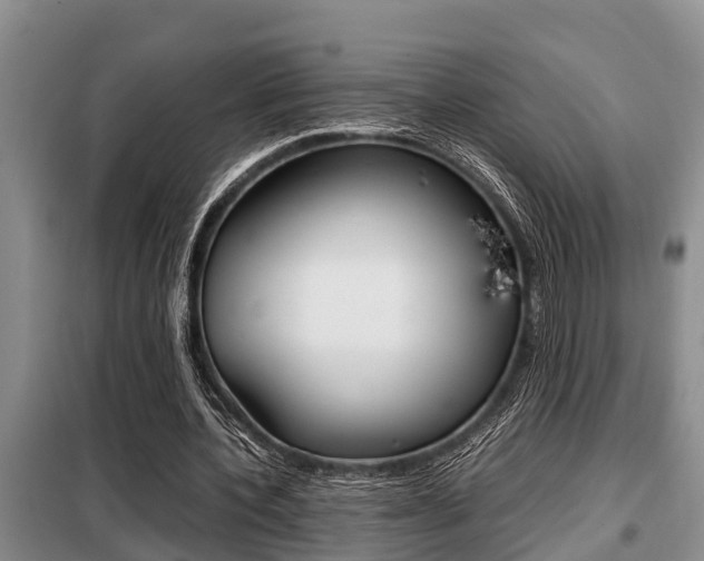 X0000099410532200805090729