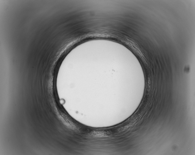X0000099410534200805090729