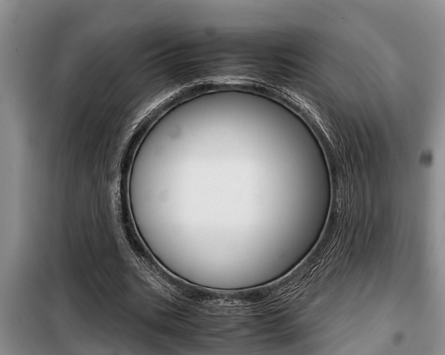 X0000099410535200805090729