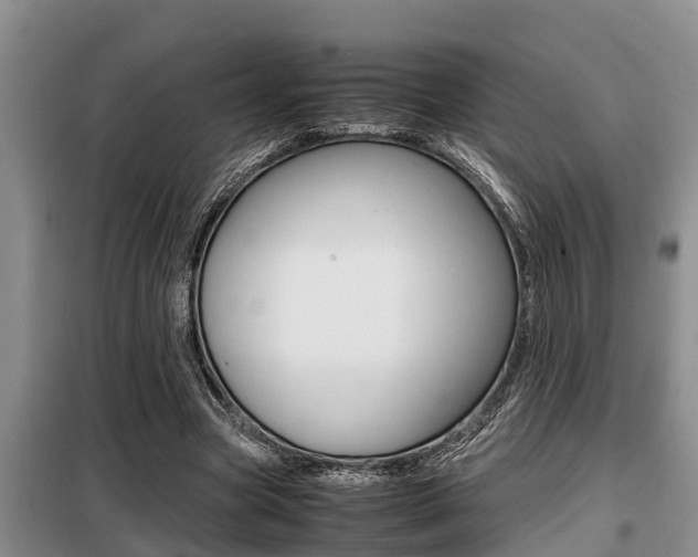 X0000099410537200805090729