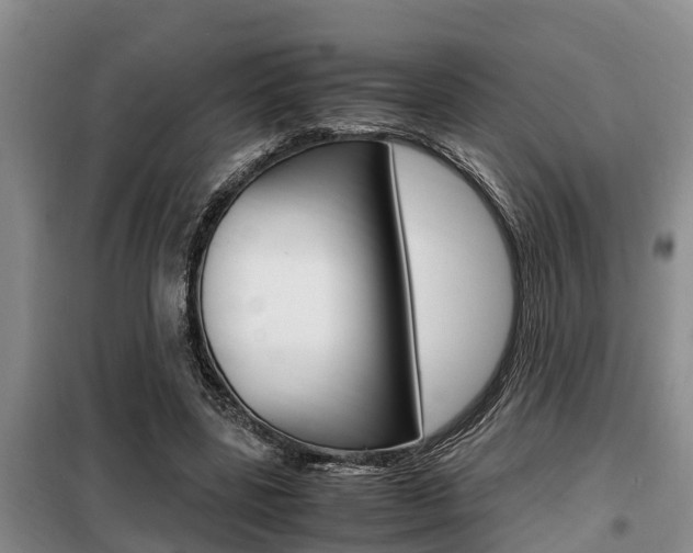 X0000099410539200805090729