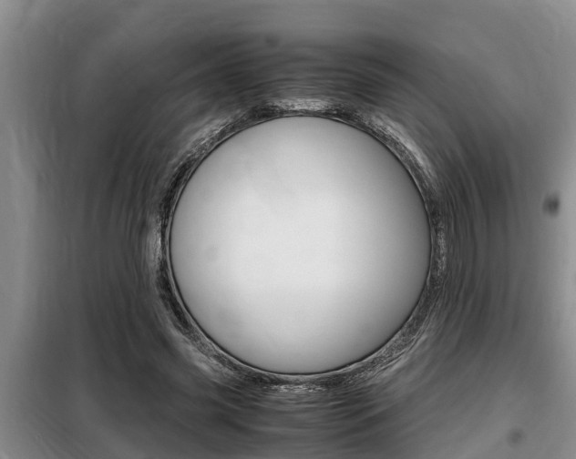 X0000099410541200805090729