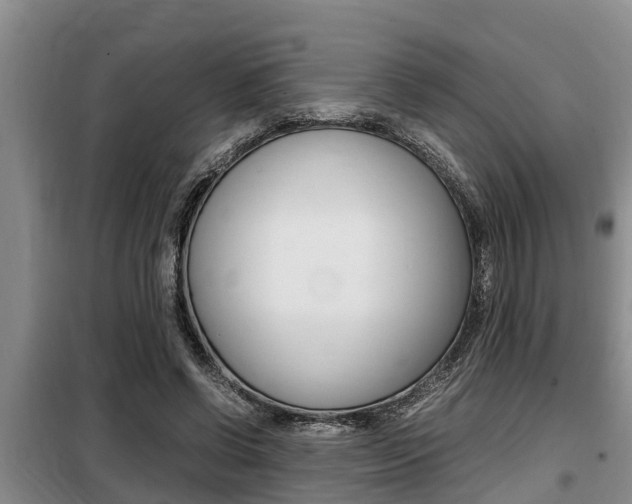 X0000099410542200805090729