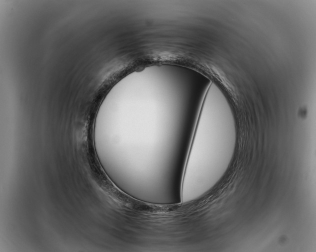 X0000099410543200805090729