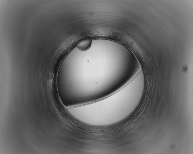 X0000099410544200805090729