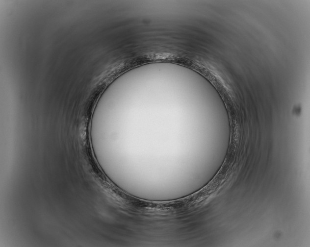 X0000099410545200805090730