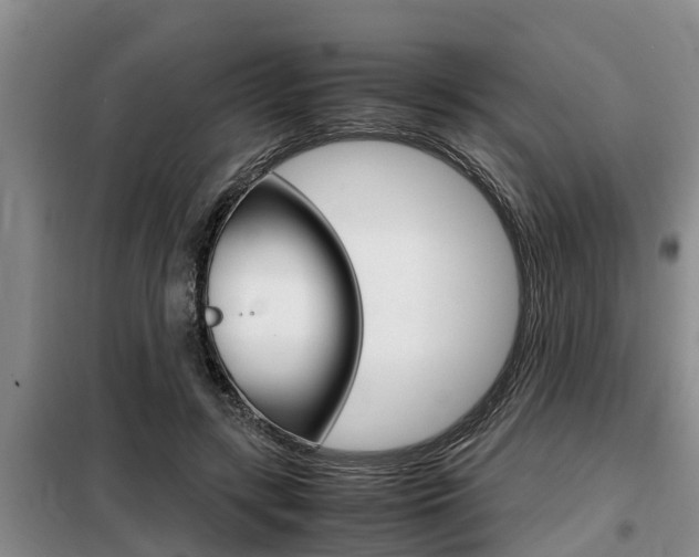 X0000099410547200805090730