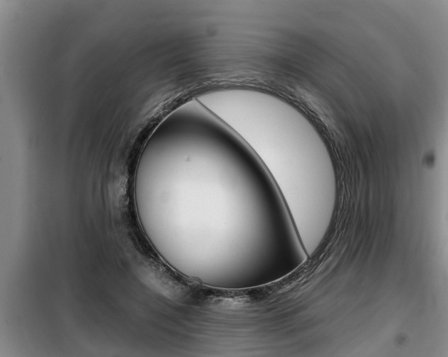 X0000099410548200805090730