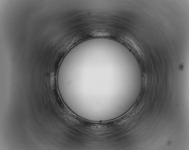 X0000099410549200805090730