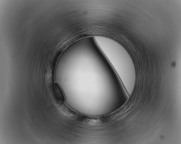 X0000099410552200805090730