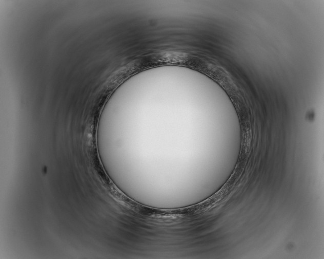X0000099410553200805090730