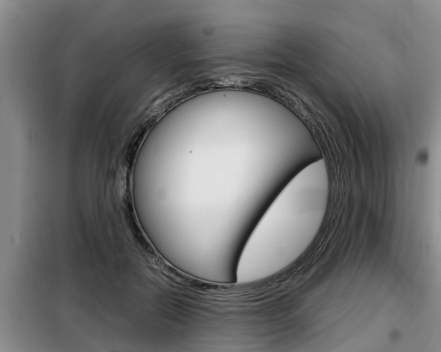 X0000099410554200805090730