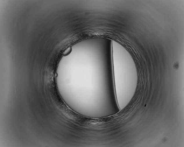 X0000099410555200805090730