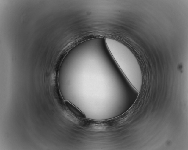 X0000099410556200805090730