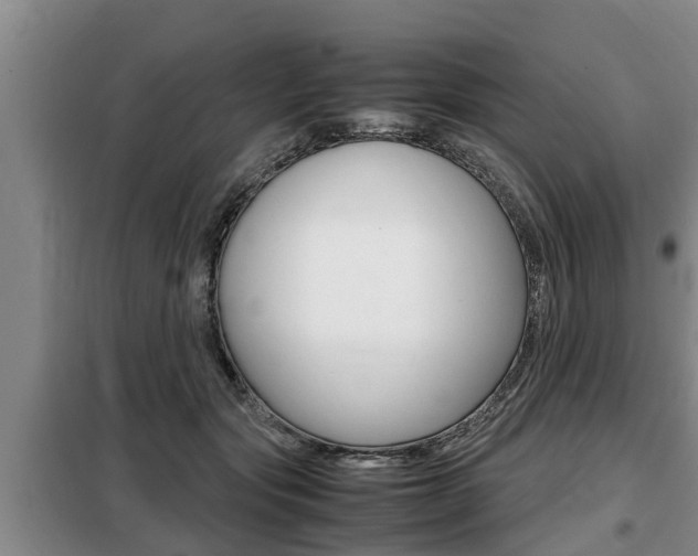 X0000099410557200805090730