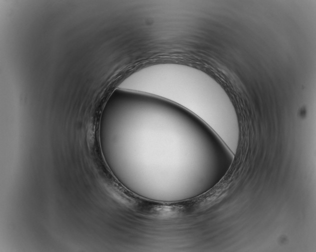 X0000099410558200805090730