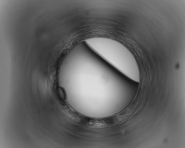 X0000099410559200805090730