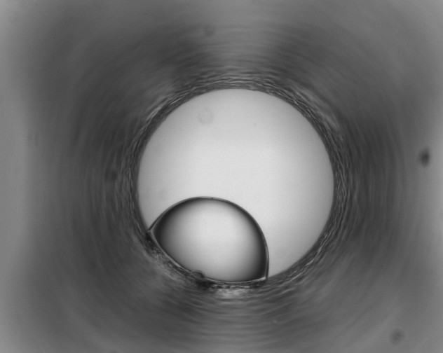X0000099410560200805090730