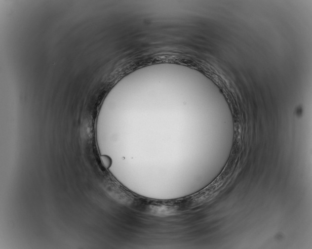 X0000099410561200805090730