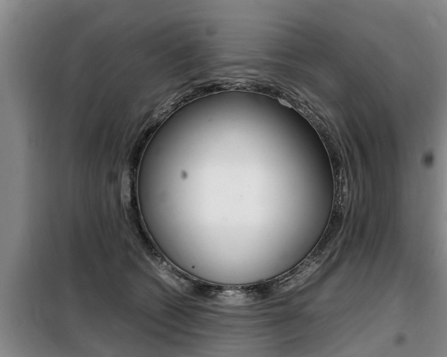 X0000099410562200805090730