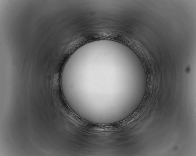 X0000099410563200805090730