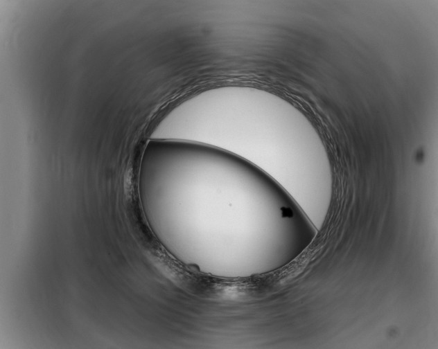 X0000099410564200805090730