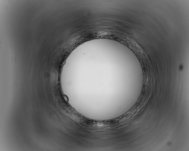 X0000099410565200805090730