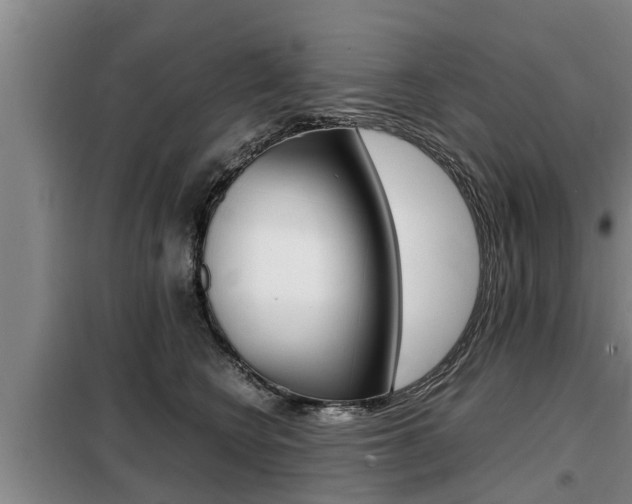 X0000099410566200805090730