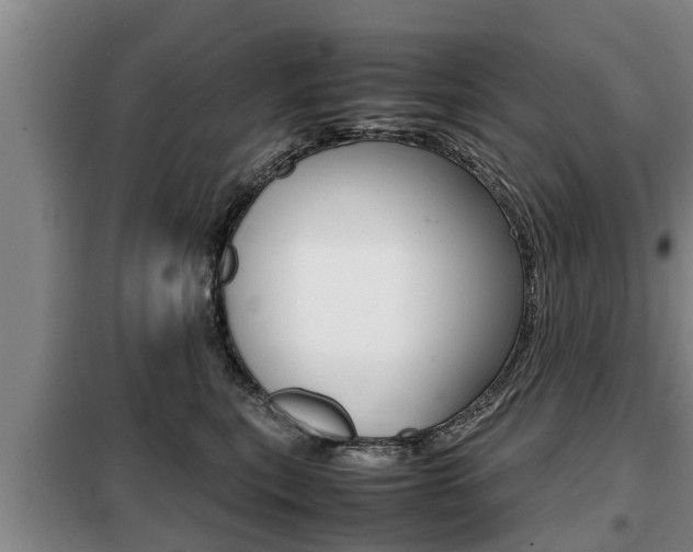 X0000099410567200805090730