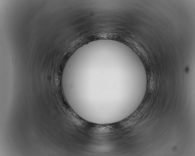 X0000099410569200805090730