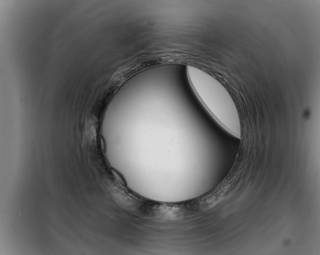 X0000099410570200805090730