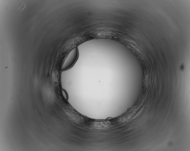 X0000099410571200805090730