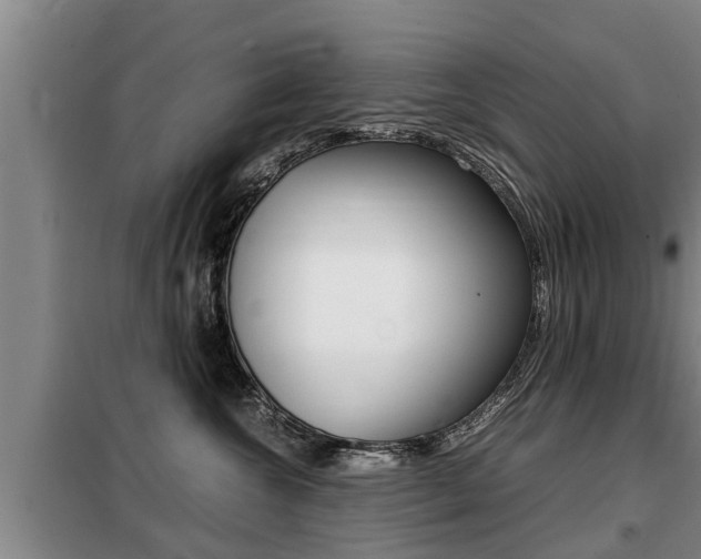 X0000099410572200805090730