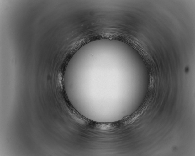 X0000099410575200805090730