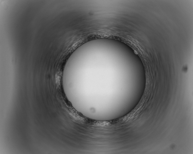 X0000099410576200805090730