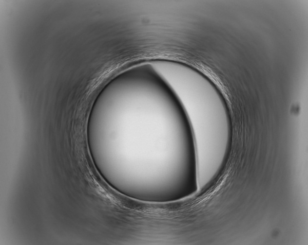X0000099410577200805090729