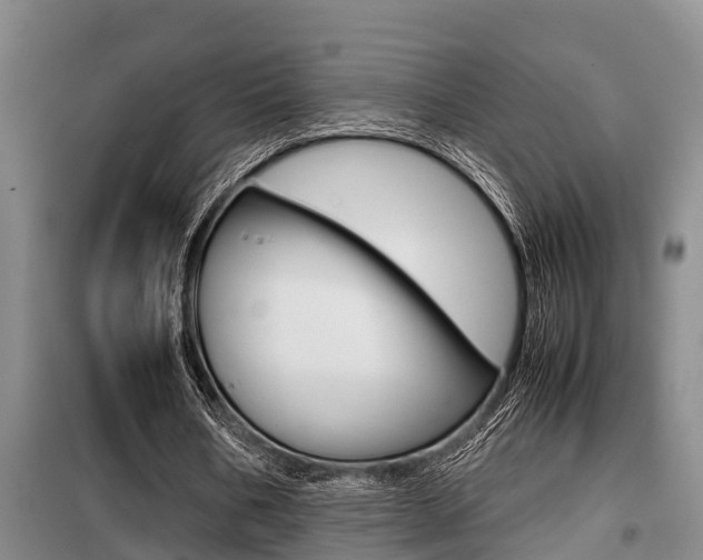 X0000099410578200805090729