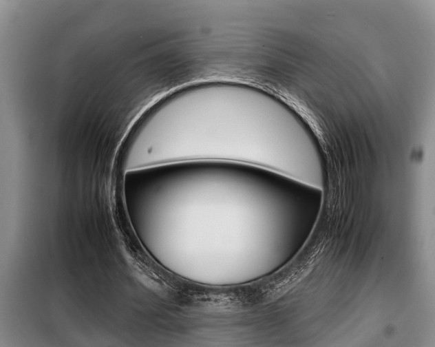 X0000099410580200805090729