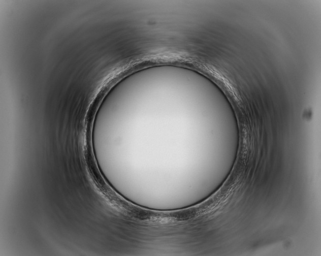 X0000099410582200805090729