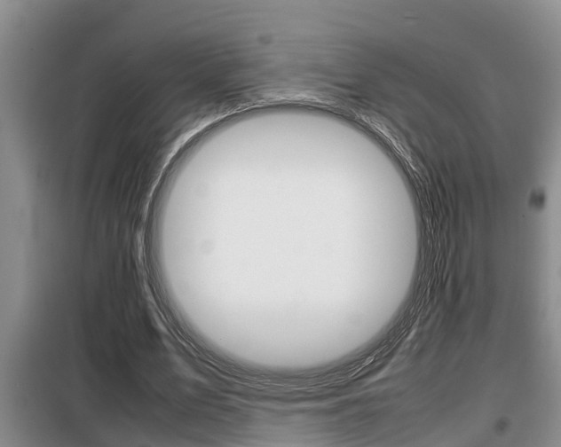 X0000099410583200805090729
